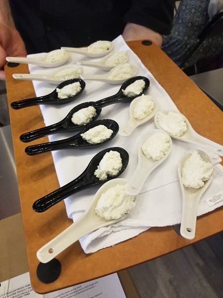 Ricotta Cheese Tasting | (Photo Credit: Nerdy Curious)