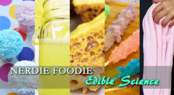 nerdie foodie edible science